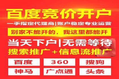 SEM推广优化实战：案例分析与启示